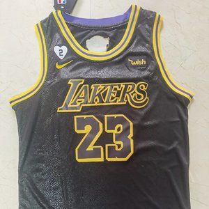 NBA Finals Lakers 23 Serpentine Jersey